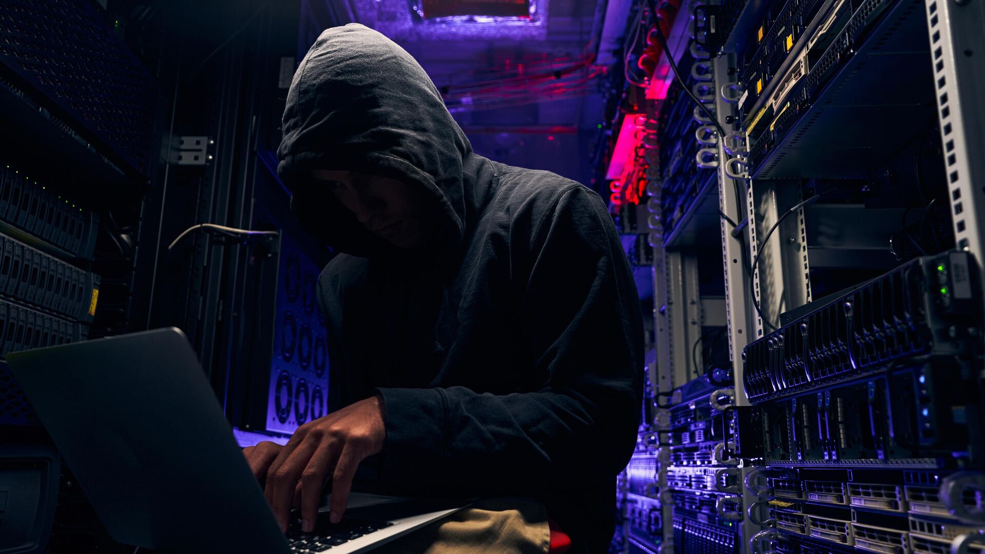 ЦБ и МВД начинают обмен информации о кибермошенниках