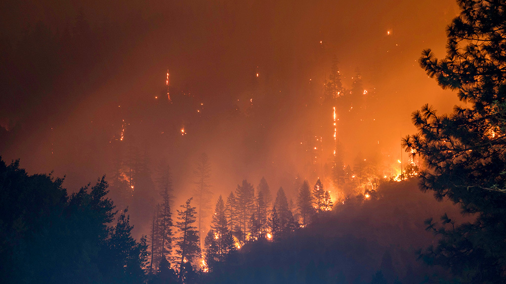 Лесные пожары бушуют в шести регионах России