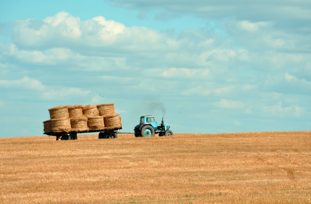 Владимир Бутусов: России нужна политика с заботой о фермерах