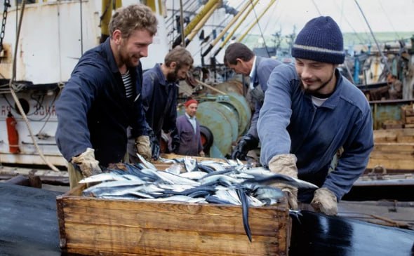 Рыбная отрасль России может стать закредитованной на 1 трлн рублей из-за инвестиционных квот