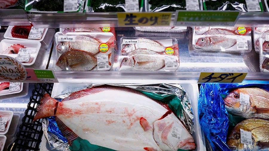 Япония хочет остаться на рынке морепродуктов России. Опасения из-за воды с АЭС «Фукусима-1»