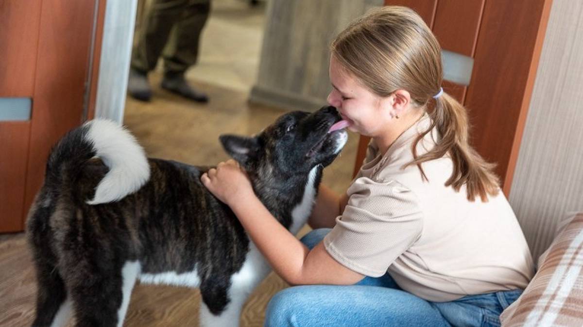 Владимир Путин подарил девочке из Пскова собаку, о которой она мечтала