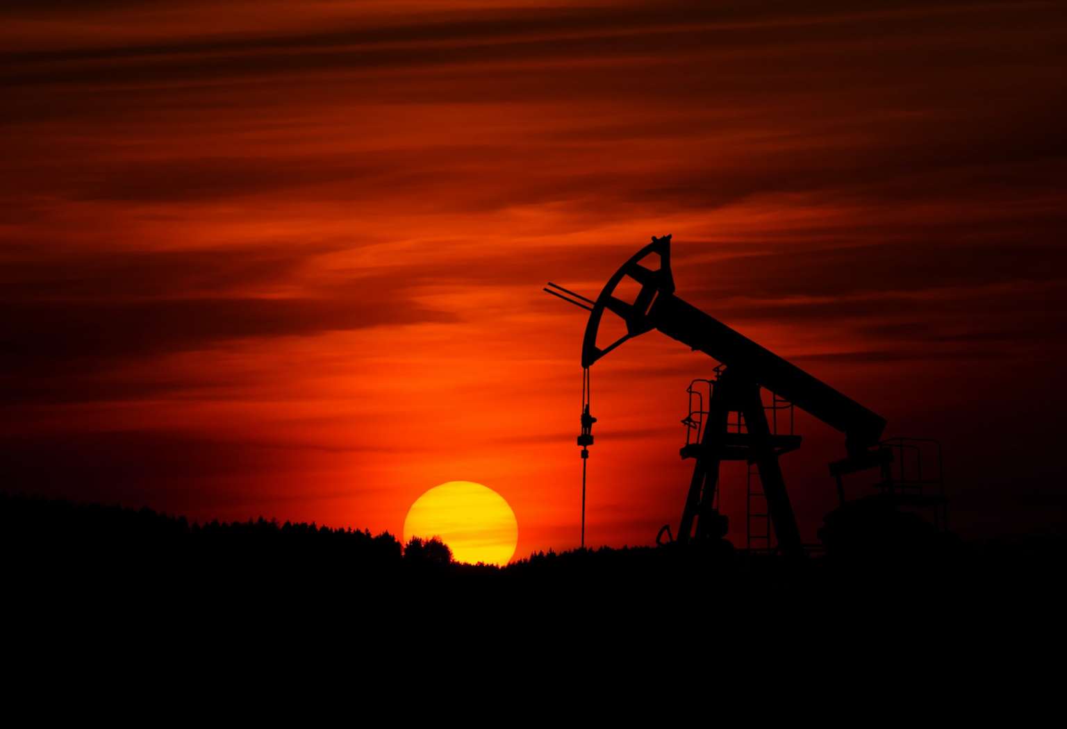 Россия установила рекорд поставок нефти в Индию