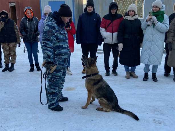 В Свердловской области овчарки полиции учили студентов искать взрывчатку