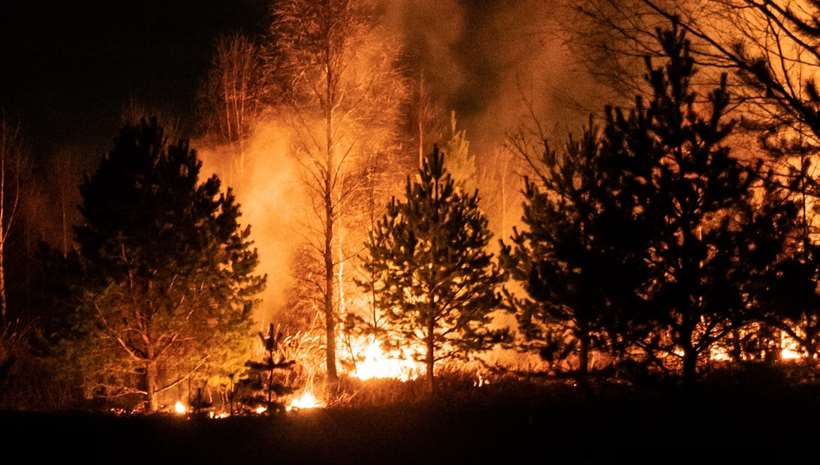 В Свердловской области ликвидировали 20 лесных пожаров за сутки